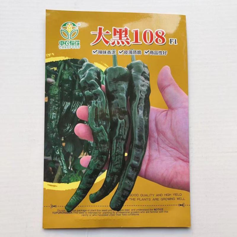 大黑108皱皮辣椒种子皮薄质脆辣味香浓大果黑绿皮大田用