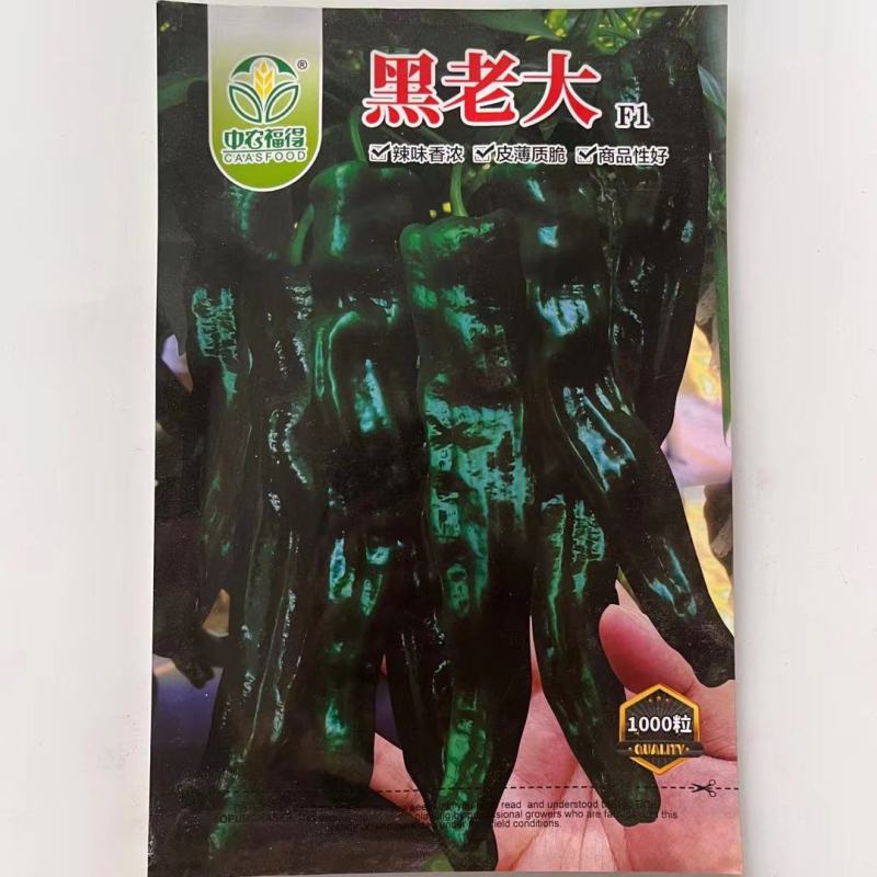 大黑108皱皮辣椒种子皮薄质脆辣味香浓大果黑绿皮大田用