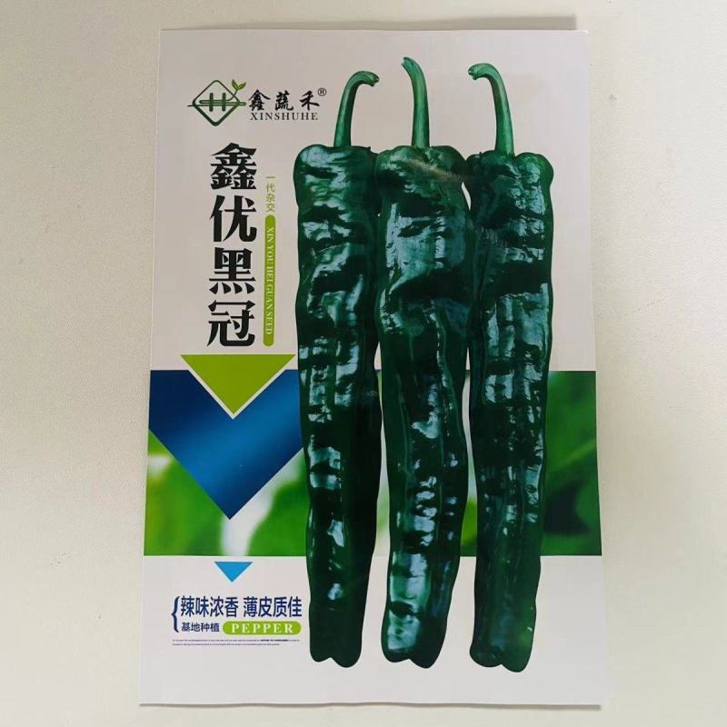 大黑108皱皮辣椒种子皮薄质脆辣味香浓大果黑绿皮大田用