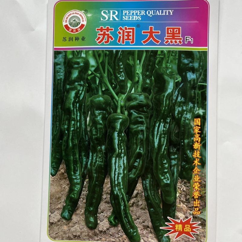 苏润大黑皱皮椒种子羊角型中早熟青果黑色杂交一代种子
