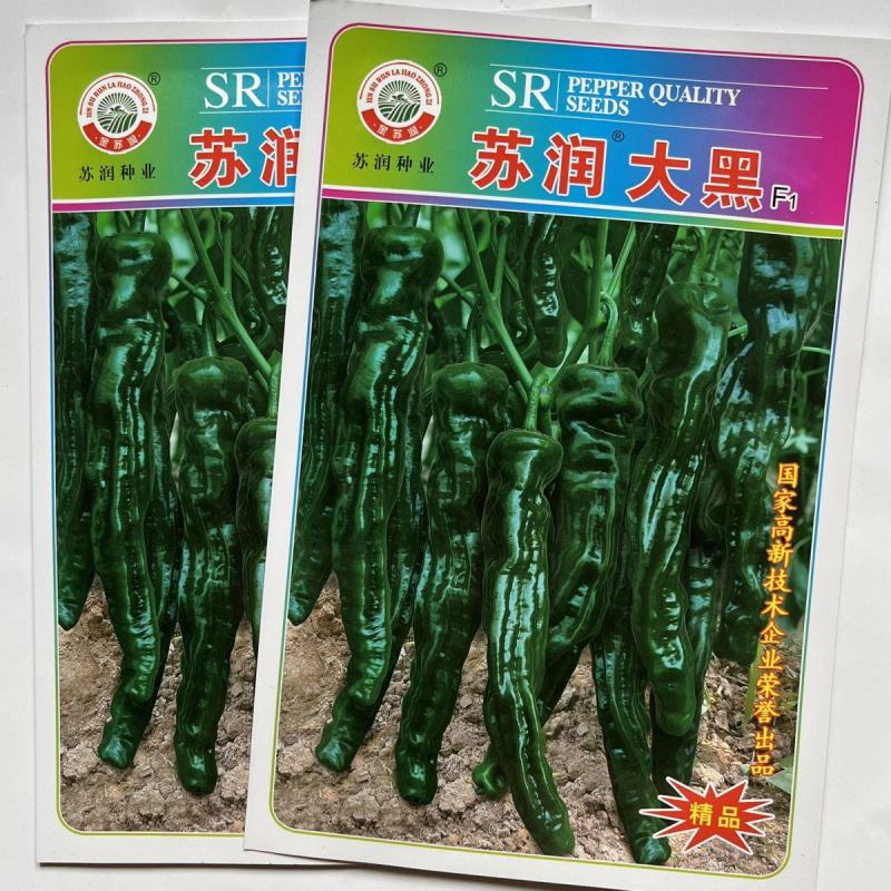 苏润大黑皱皮椒种子羊角型中早熟青果黑色杂交一代种子