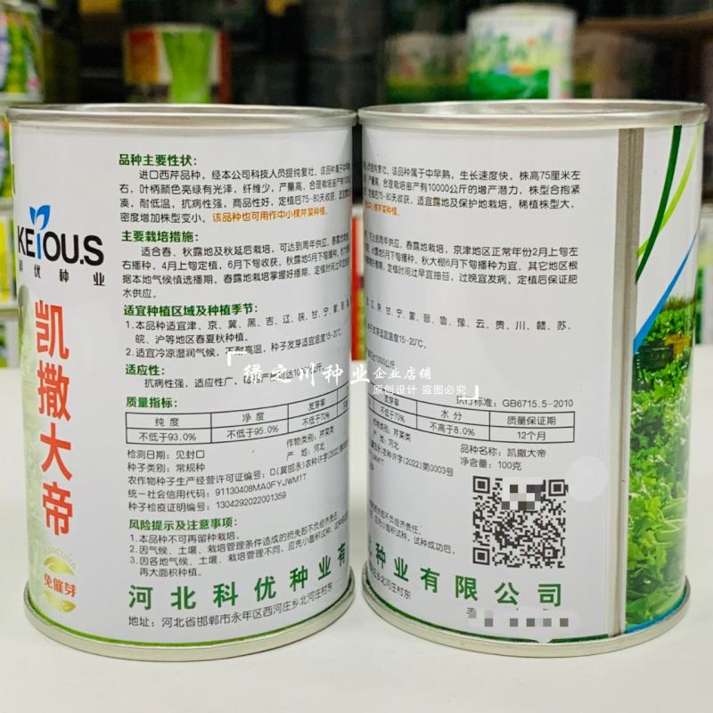 省时免催芽芹菜种子凯撒大帝西芹种子耐低温抗病纤维少