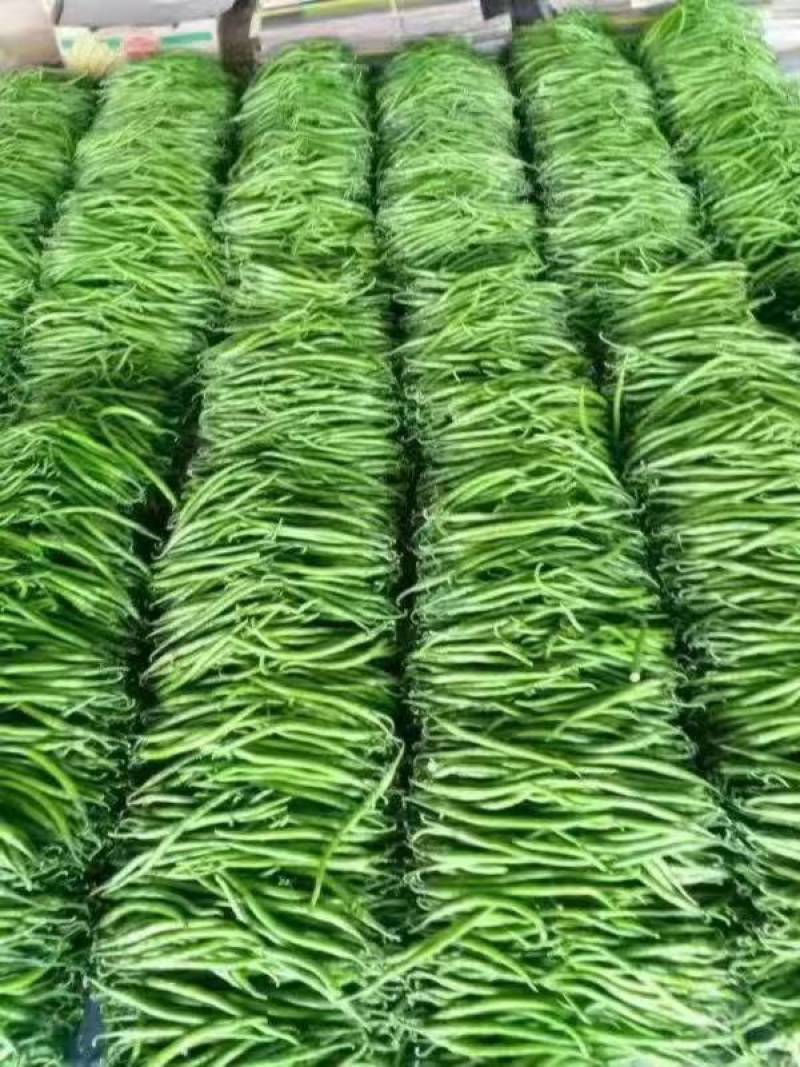 【热卖中】河南夏邑线椒，一手货源，产地直发，货源充足