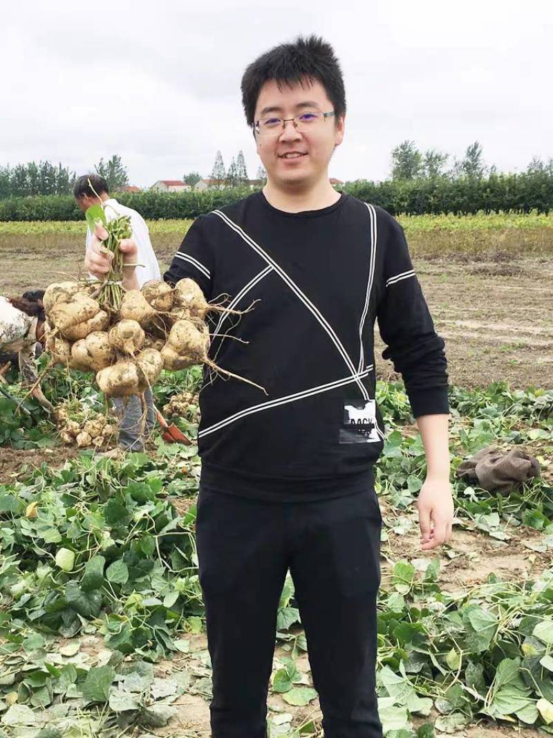 地瓜凉瓜豆薯沙葛产地视频看货量大货源充足