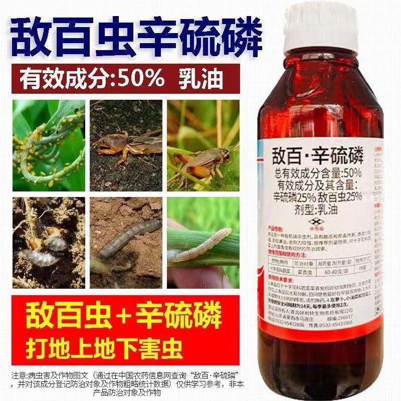 50%敌百辛硫磷蛴螬金针虫蒜蛆地蛆地老虎地下害虫杀虫剂