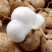 【豆薯】湖北凉薯新鲜现挖脆甜水嫩量大从优供应全国