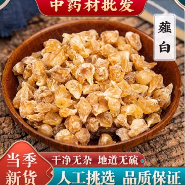 中药材薤白薤白山蒜野蒜薤根薤白头泻白新鲜野薤白
