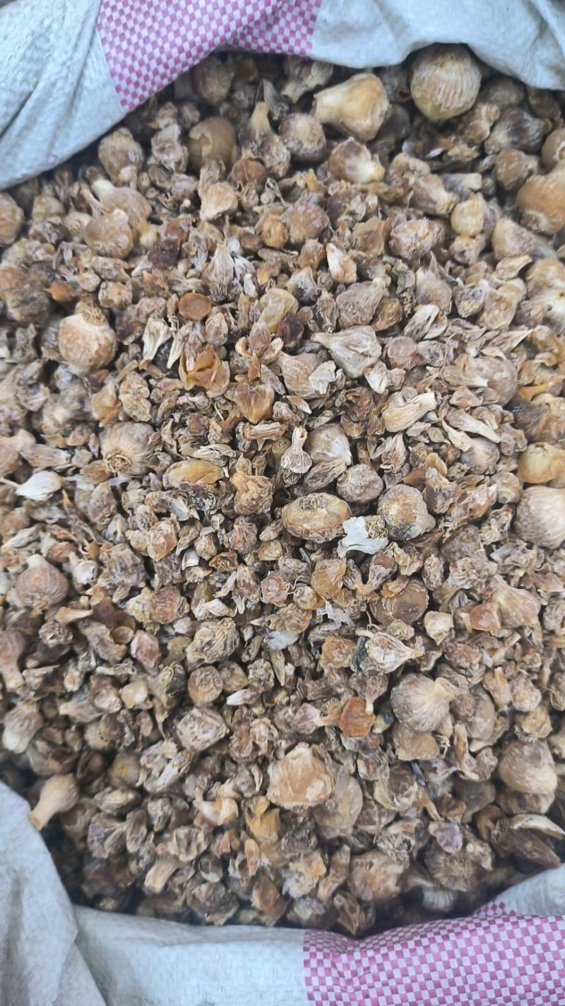 中药材薤白薤白山蒜野蒜薤根薤白头泻白新鲜野薤白