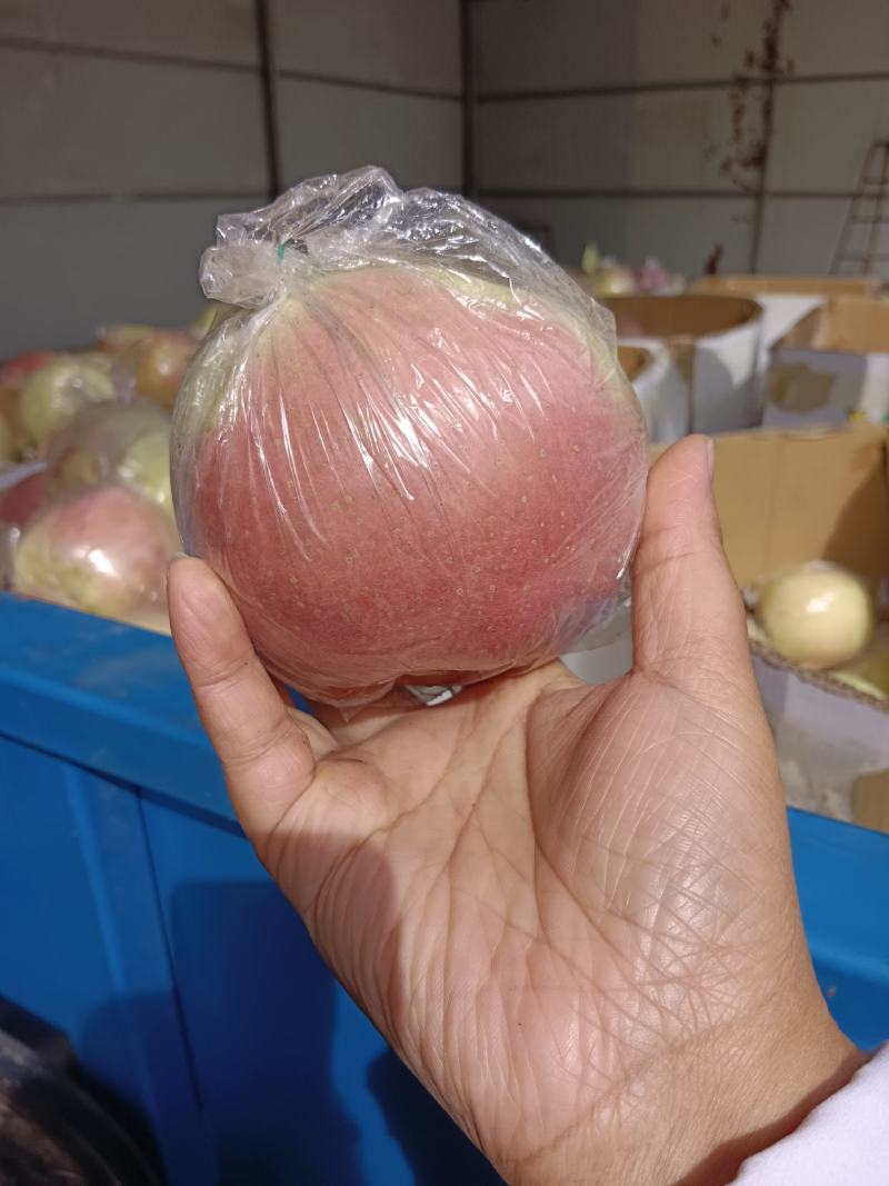 斗南苹果