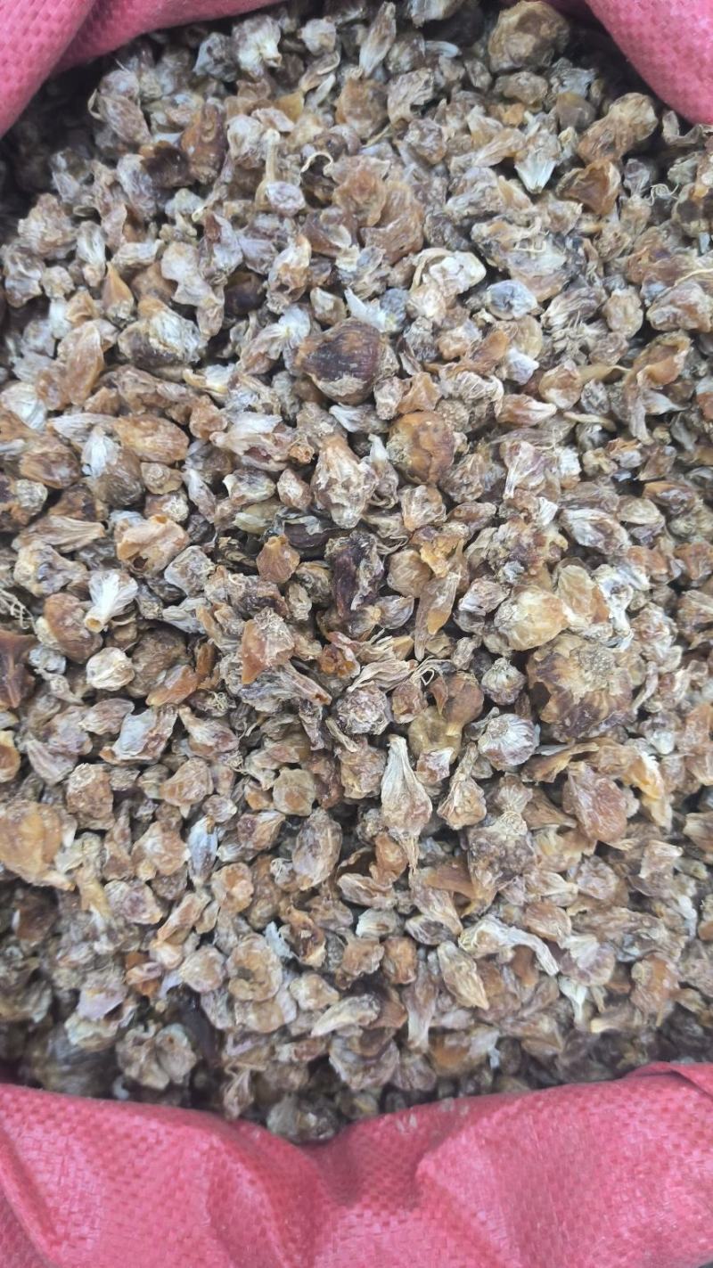 薤白中药材薤白无硫干货批发量大从优
