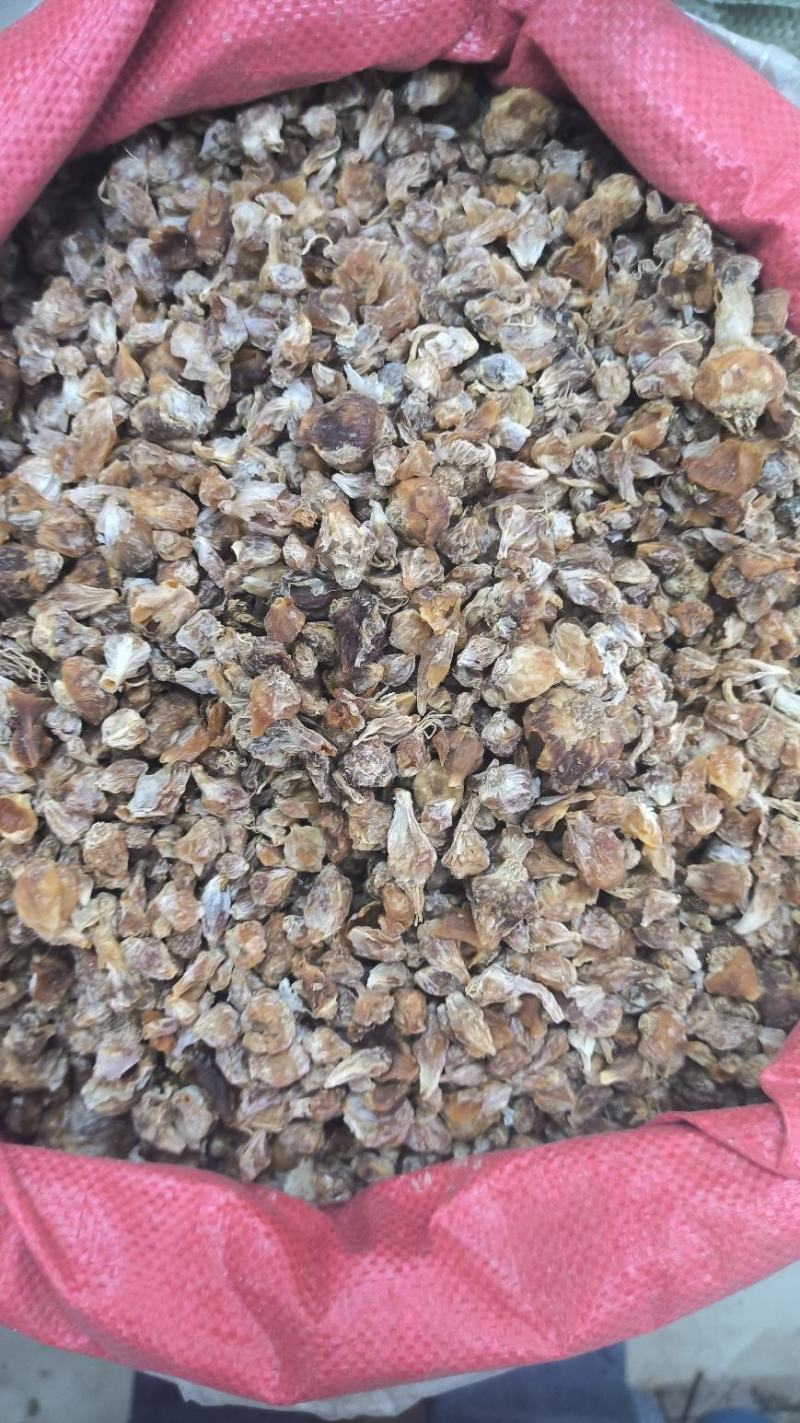 薤白中药材薤白无硫干货批发量大从优