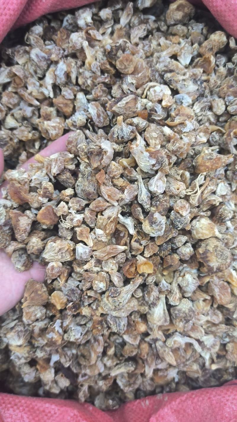 薤白中药材薤白无硫干货批发量大从优