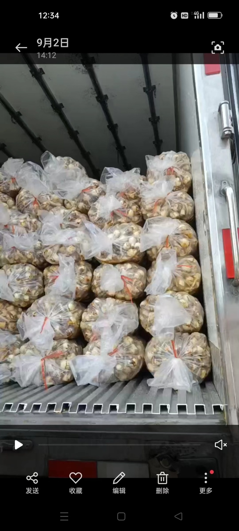 宽叶水洗茨菇，长期有货，