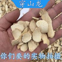 穿山龙中药材穿地龙泡茶泡水无硫新货量大从优