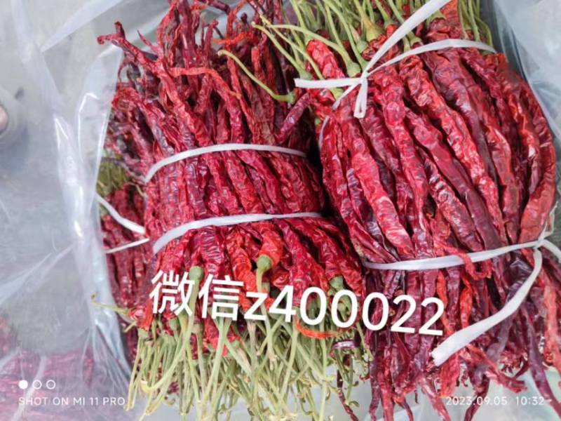 贵州本地区优质长辣椒细长线椒干货辣味香浓皮