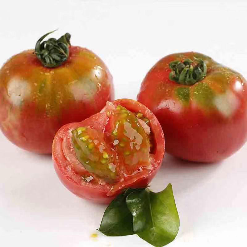 【精选】山东寿光草莓西红柿种苗专业培育，易成活品质好
