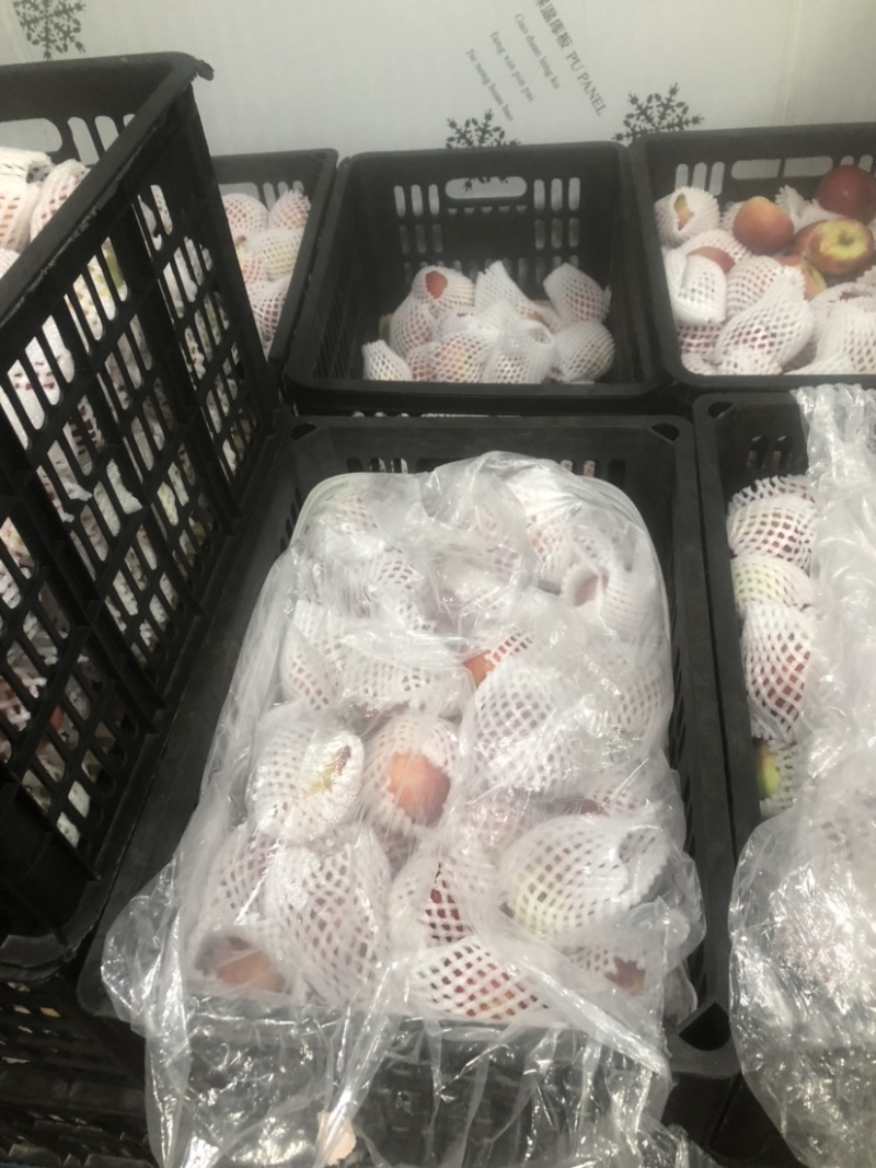 各种苹果、次果