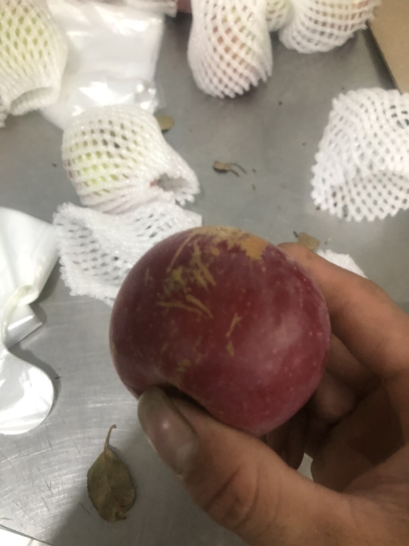 各种苹果、次果