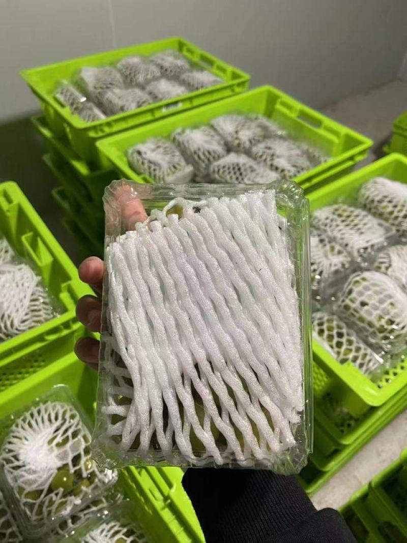 翡翠番茄，绿番茄，糖度10以上