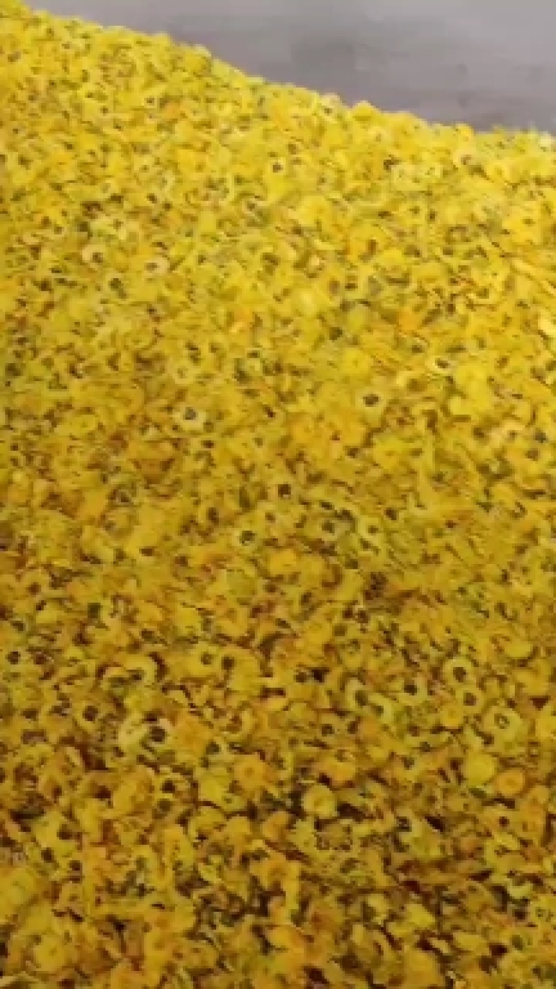 婺源皇菊