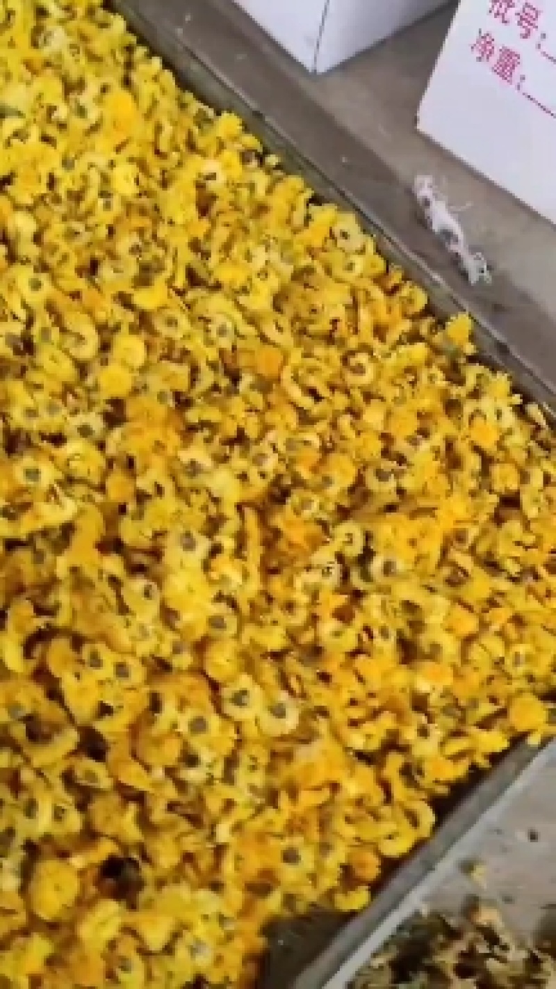 婺源皇菊