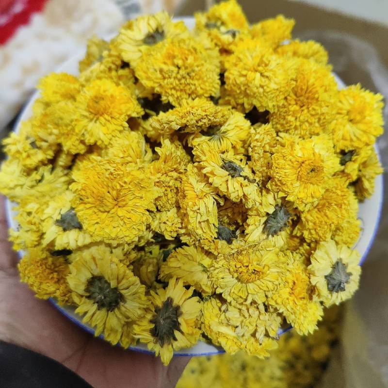 婺源皇菊