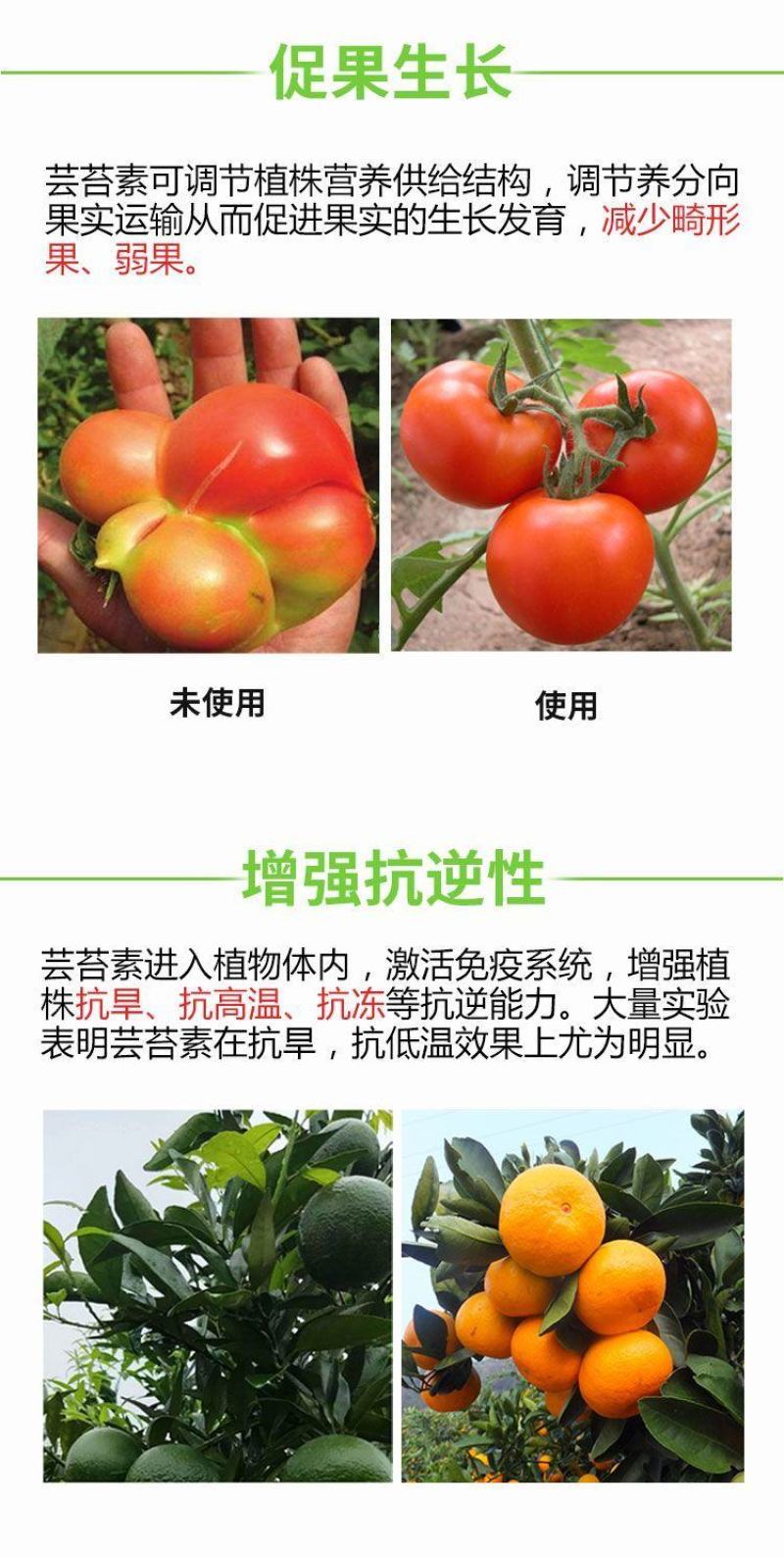 芸苔素内脂调节剂保花保果增产解药害生根壮苗果树蔬菜花卉