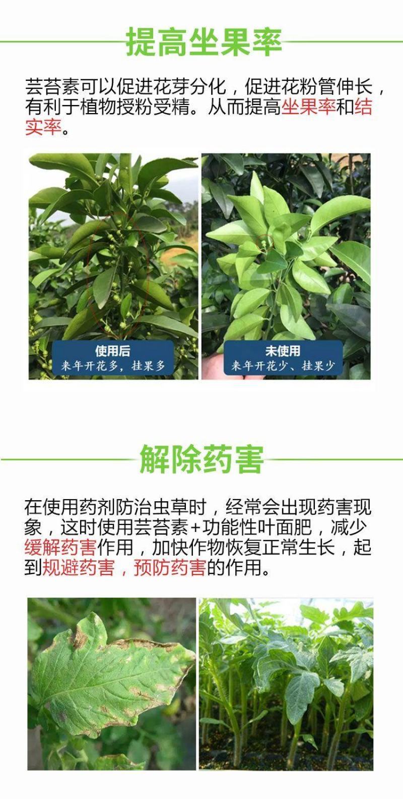 芸苔素内脂调节剂保花保果增产解药害生根壮苗果树蔬菜花卉