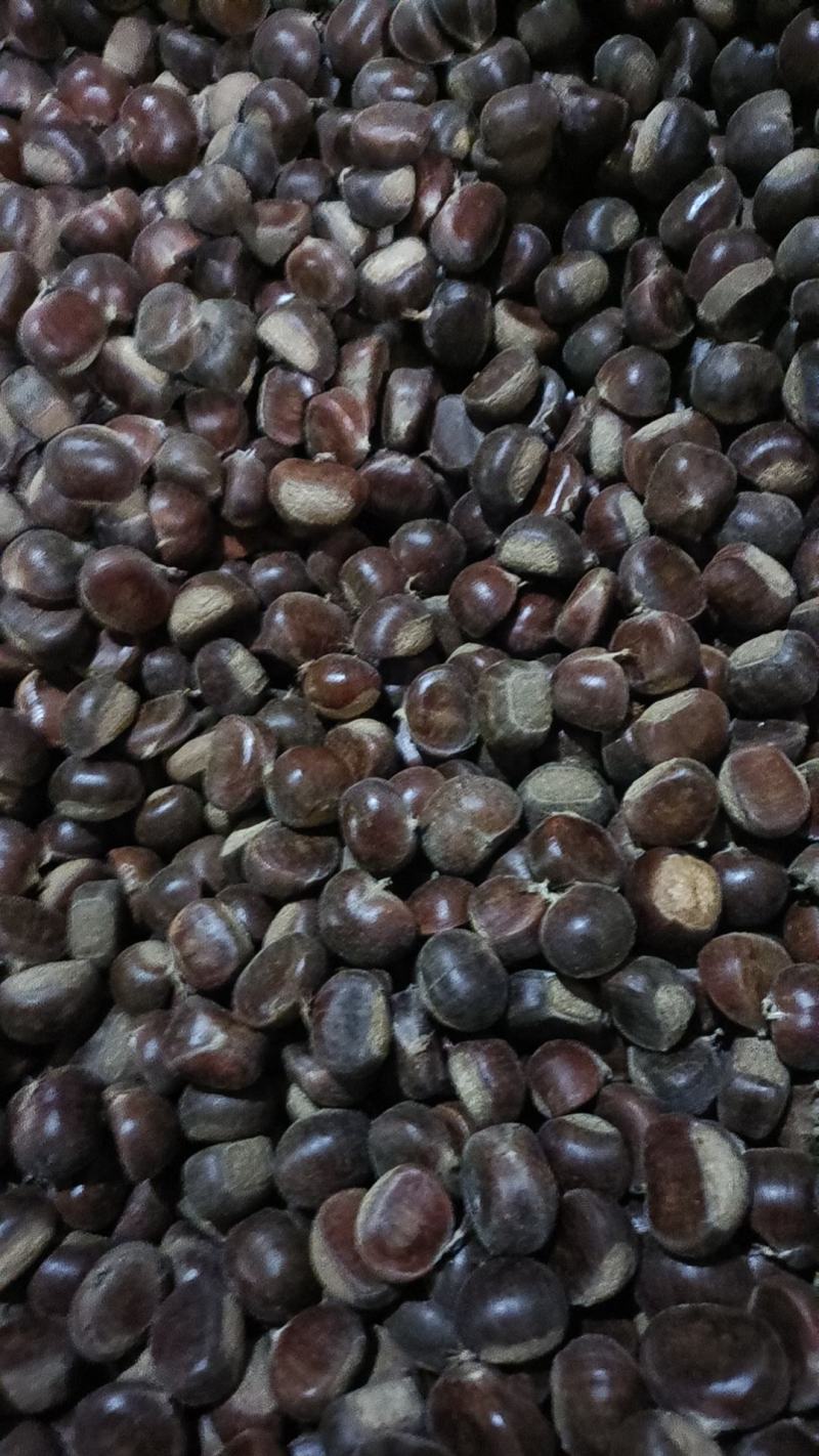 沂蒙山油栗