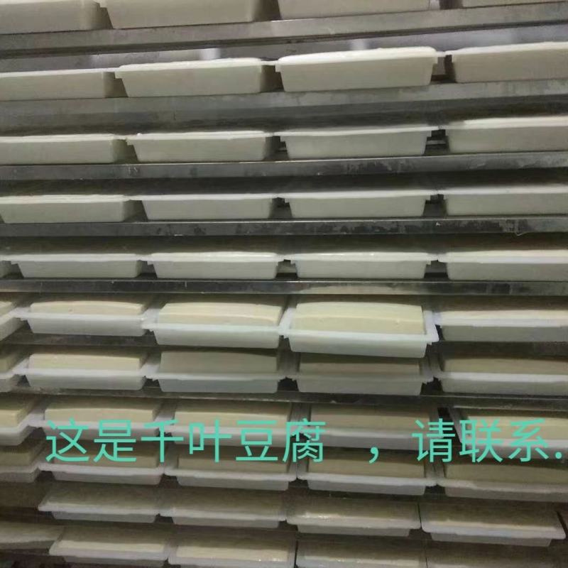 精品【千叶豆腐】黄金豆腐质量保证欢迎咨询