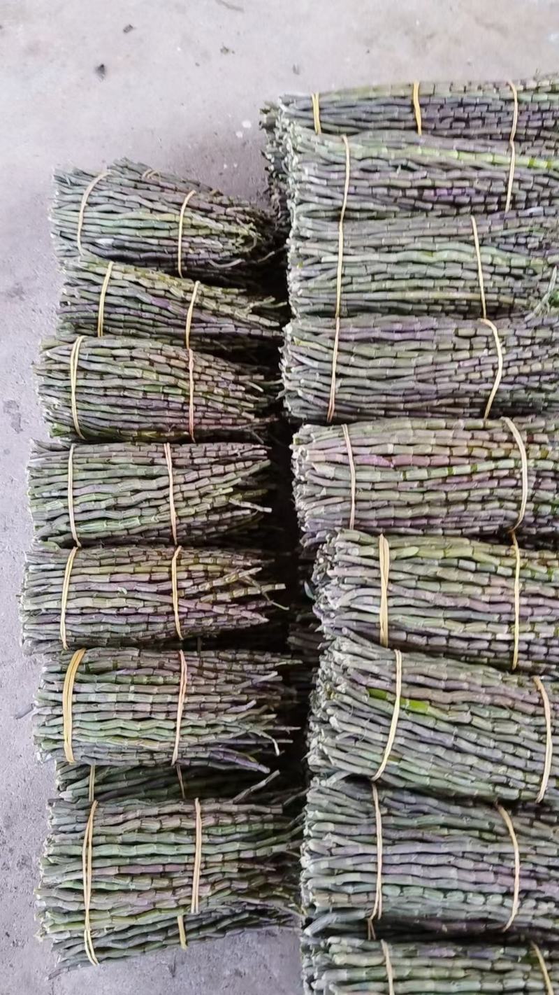 产地铁皮石斛批发