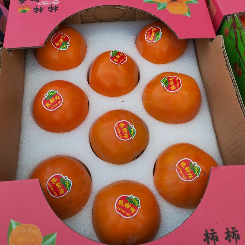 陕西阳丰脆甜柿子，巧克力脆柿，次郎，对接各市场，电商平台