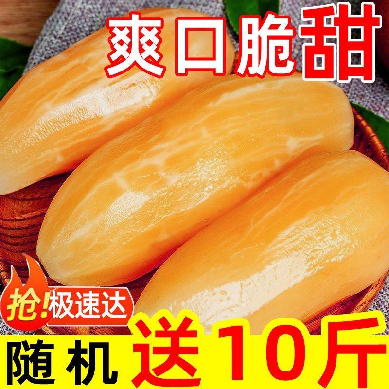 雪莲果一件代发天山雪莲果一件代发市场货电商货直平台