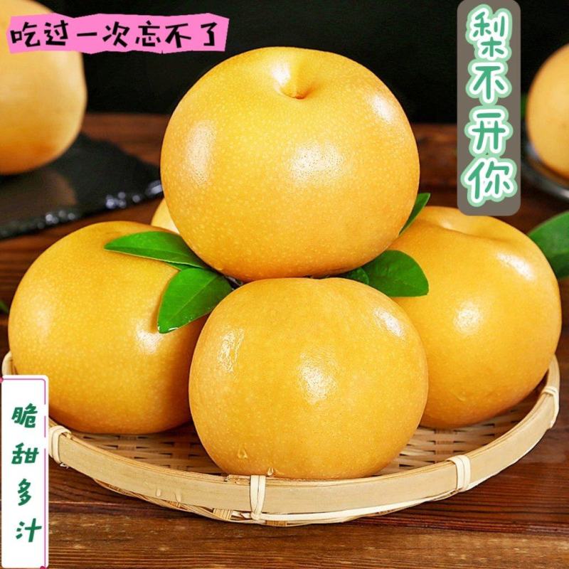 精选山东冠县丰水梨，秋月梨，可对接社区团购，电商平台