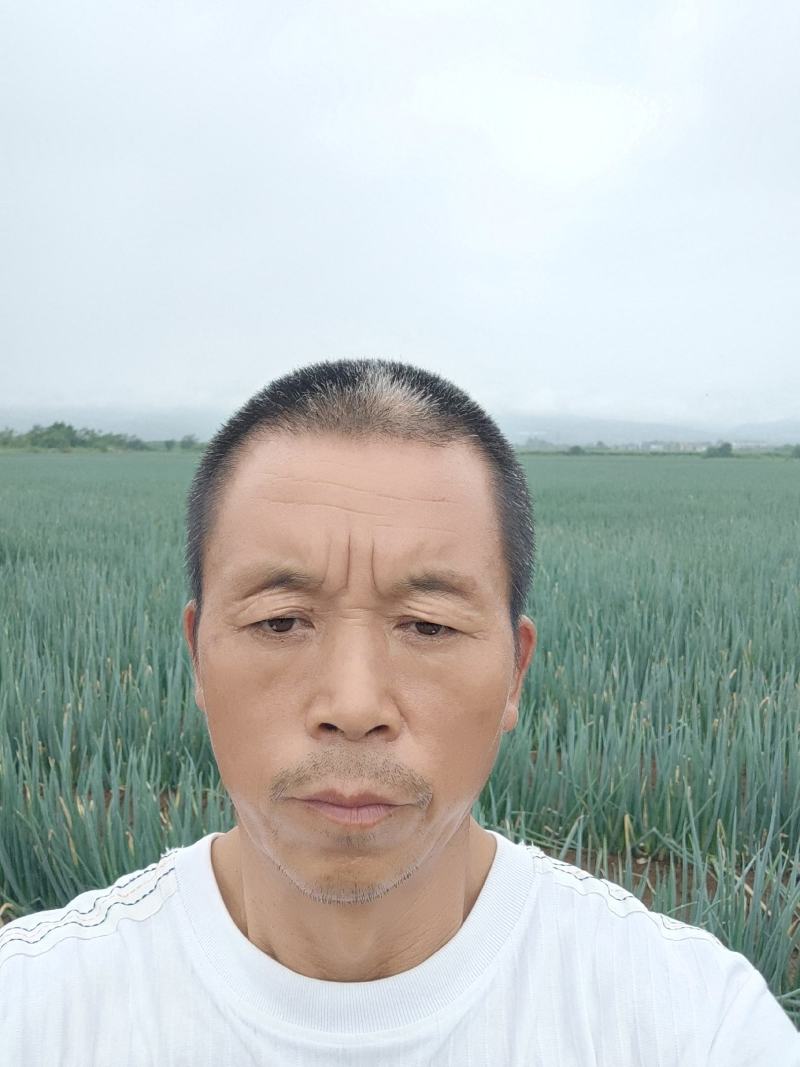 净葱供应长白铁杆钢葱粗细分类包装