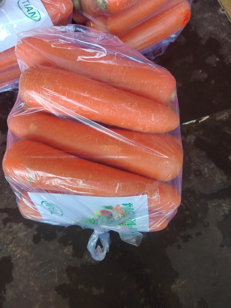 河北邯郸精品红萝卜，货源充足，质量保证，可供商超全国发货