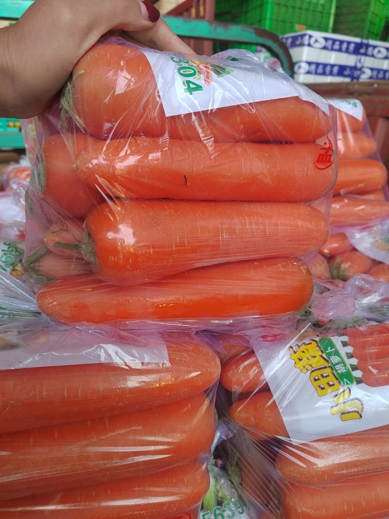 河北邯郸精品红萝卜，货源充足，质量保证，可供商超全国发货