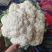 河北邯郸菜花一手货源，质量保证，可供商超，全国发货