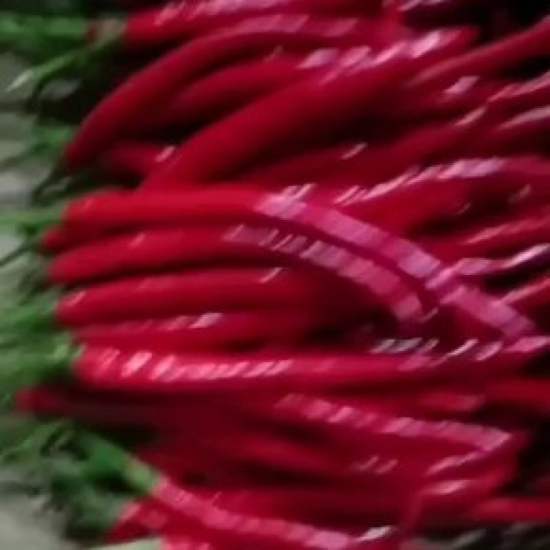 淹制红线
