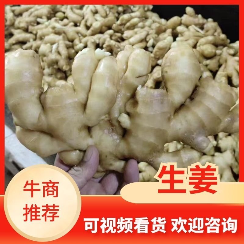 水洗姜把，带土姜把，电商货大量供应保质保量，全国发货。