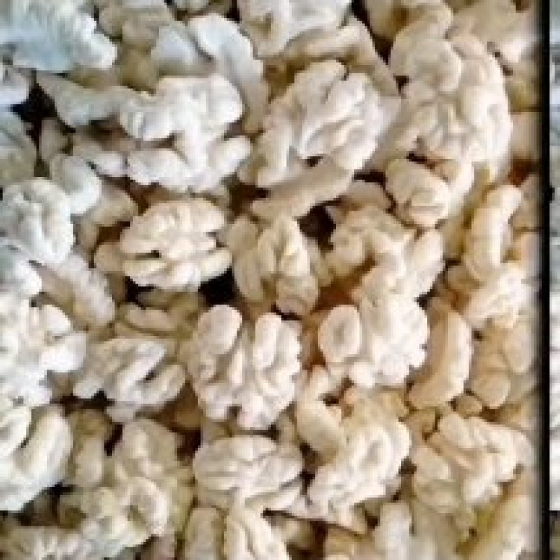 取皮烘干核桃仁