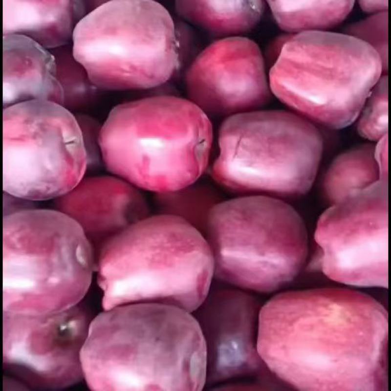 甘肃秦安高山精品花牛苹果
