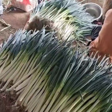 大葱，辣椒