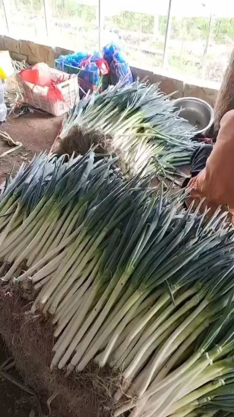大葱，辣椒
