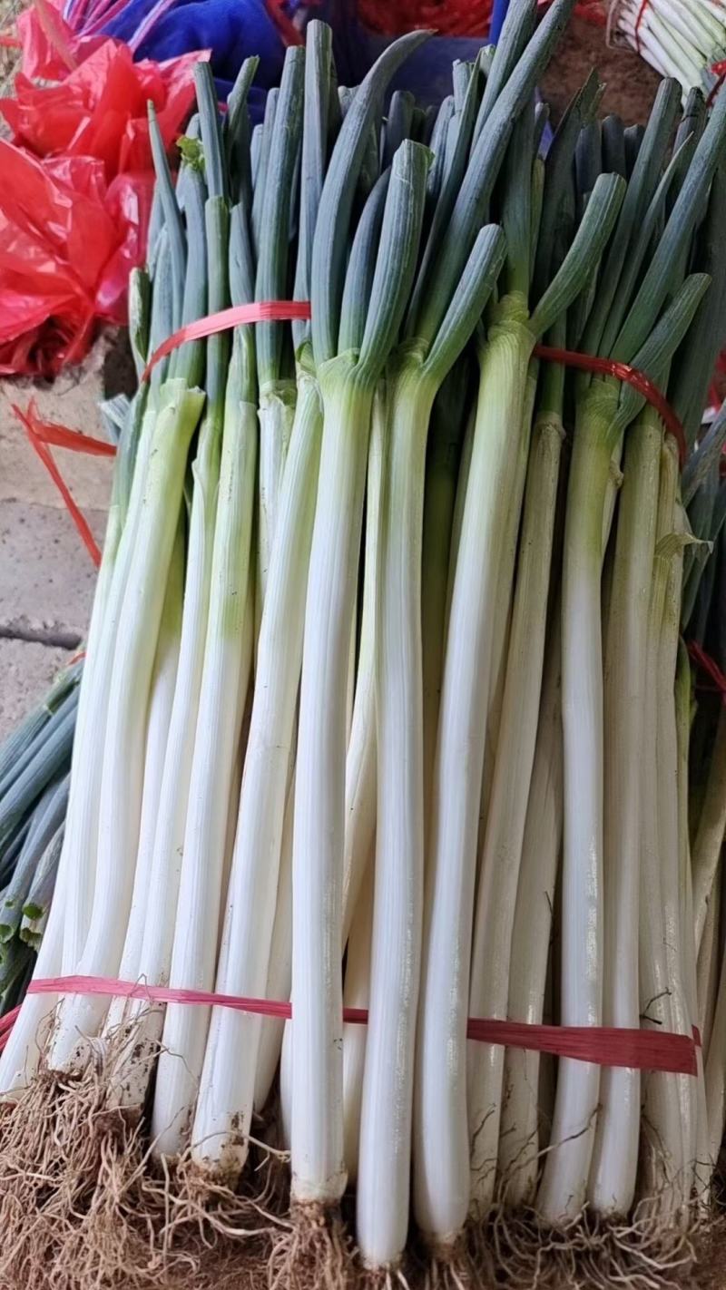 大葱，辣椒