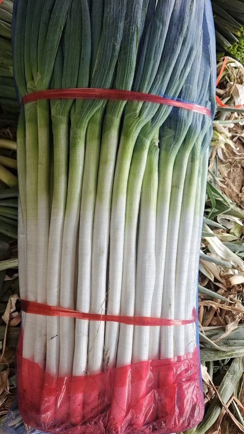 大葱，辣椒