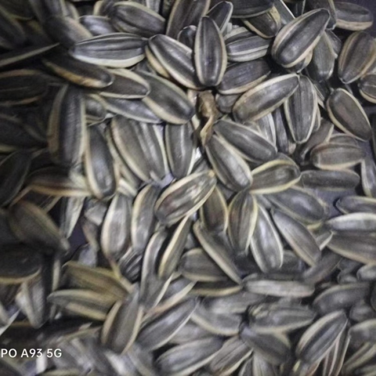 生瓜子批发联系方式 生瓜子批发联系方式