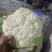 甘肃兰州高原夏菜产地直发