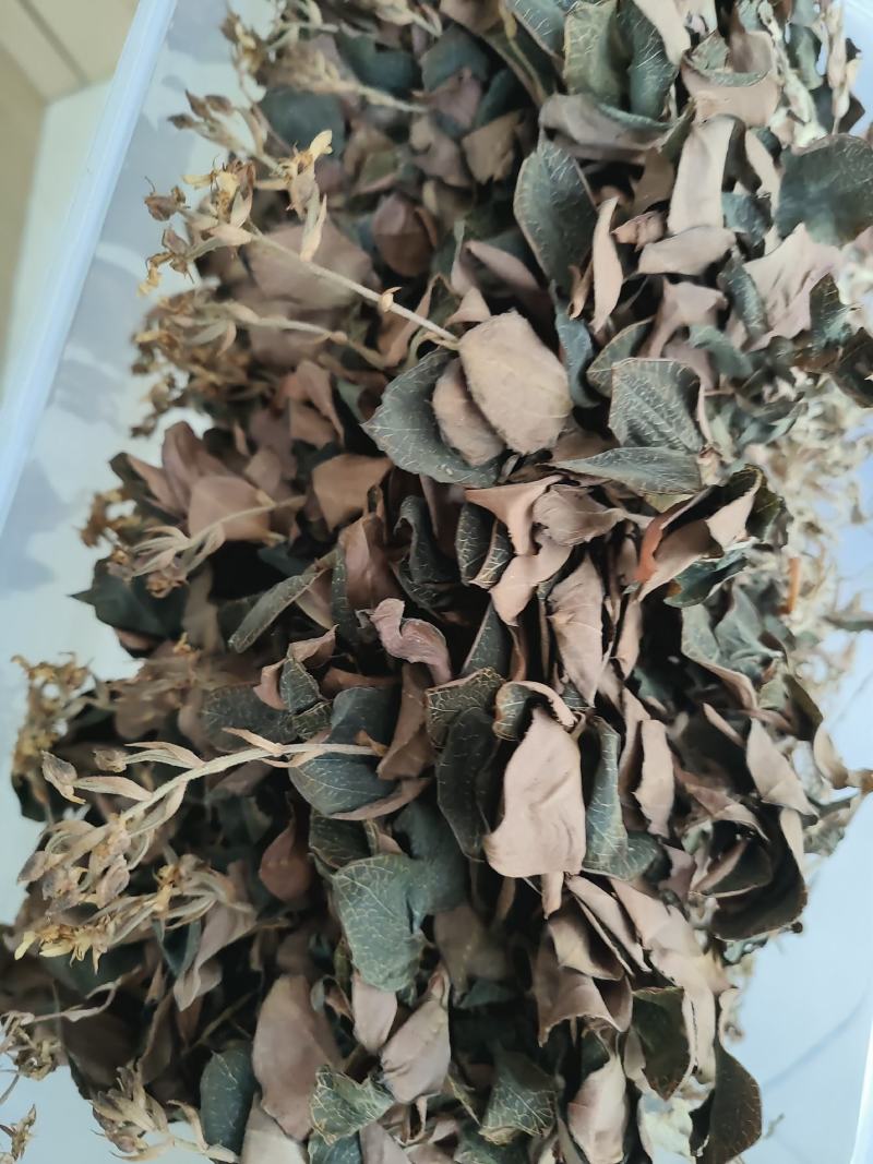 林下种植金线莲本地红霞金开花干品干货，鲜品有货