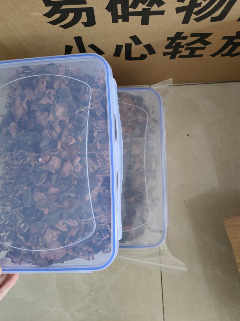 林下种植金线莲本地红霞金开花干品干货，鲜品有货